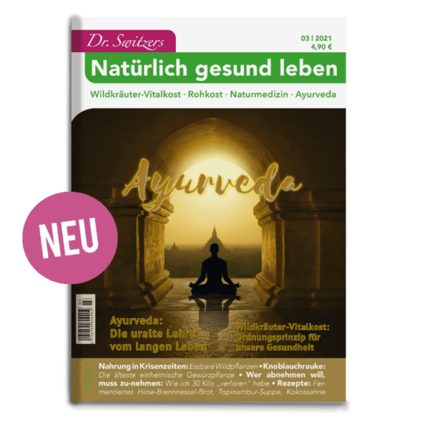 Dr. Switzers - Magazin 08